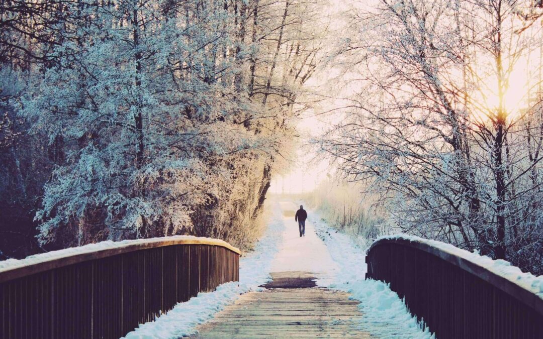 alone-snow-bridge-